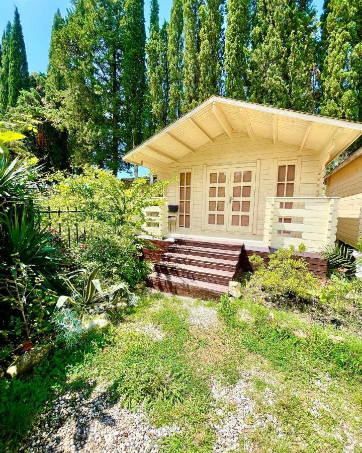 Vacation Home Apsar New Athos 외부 사진